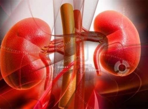 Vai trò của thận và những biểu hiện của bệnh thận thường gặp